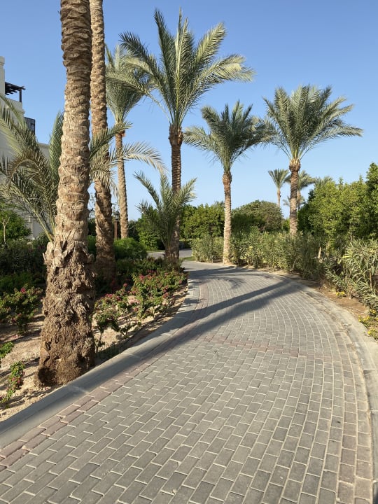 Garten Steigenberger Aqua Magic