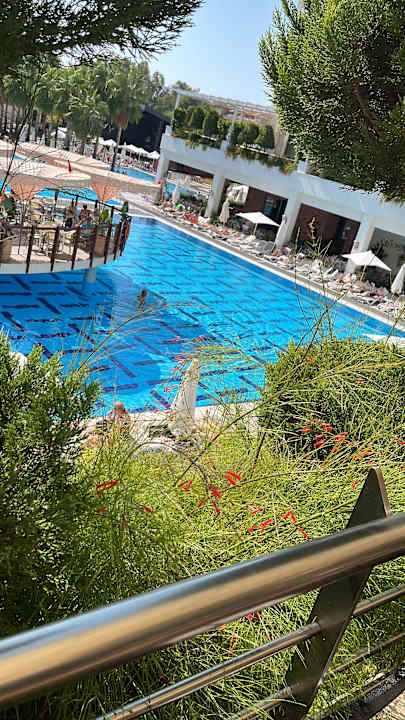 Pool Castival Hotel