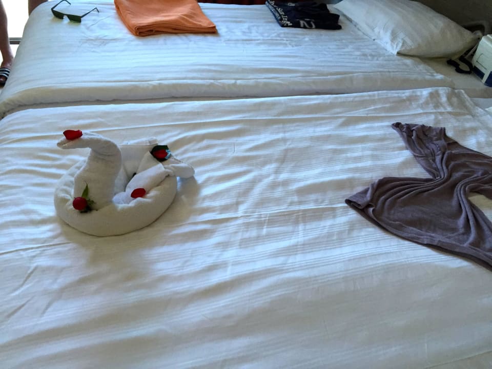 Nach der Reinigung Commodore Elite Suites & Spa - Adults only