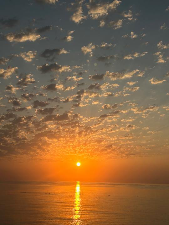 Sonstiges TUI MAGIC LIFE Beldibi +16