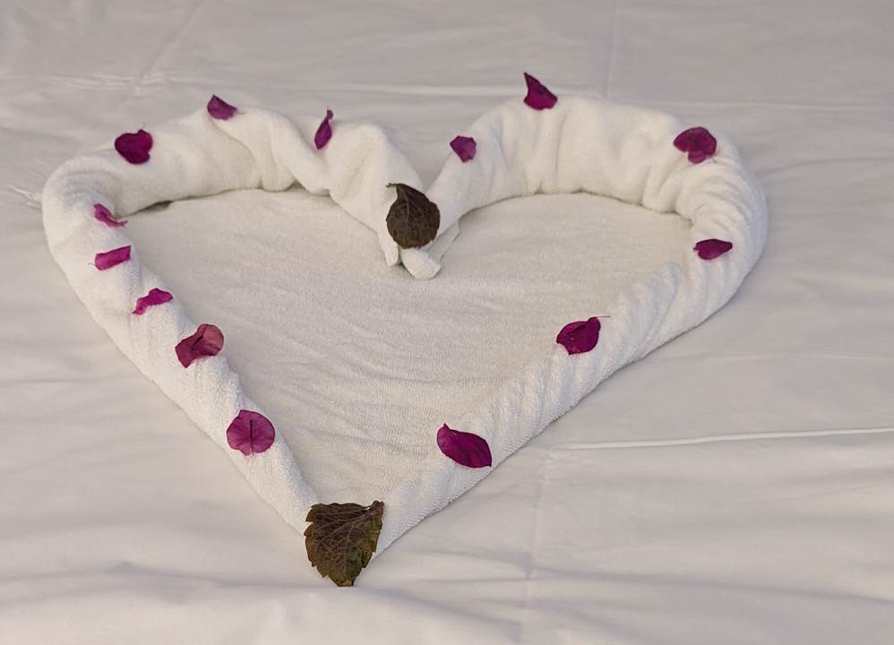 Zimmer Hotel Delphin Palace