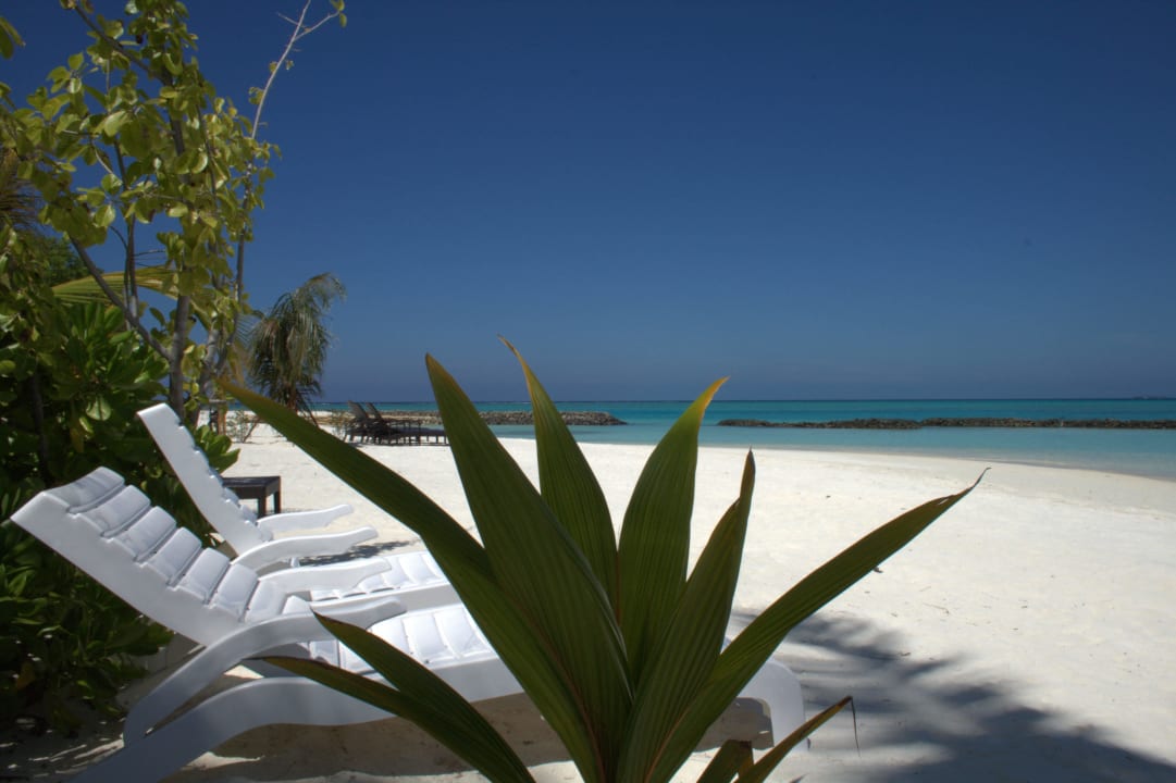 Powerpoint  Summer Island Maldives