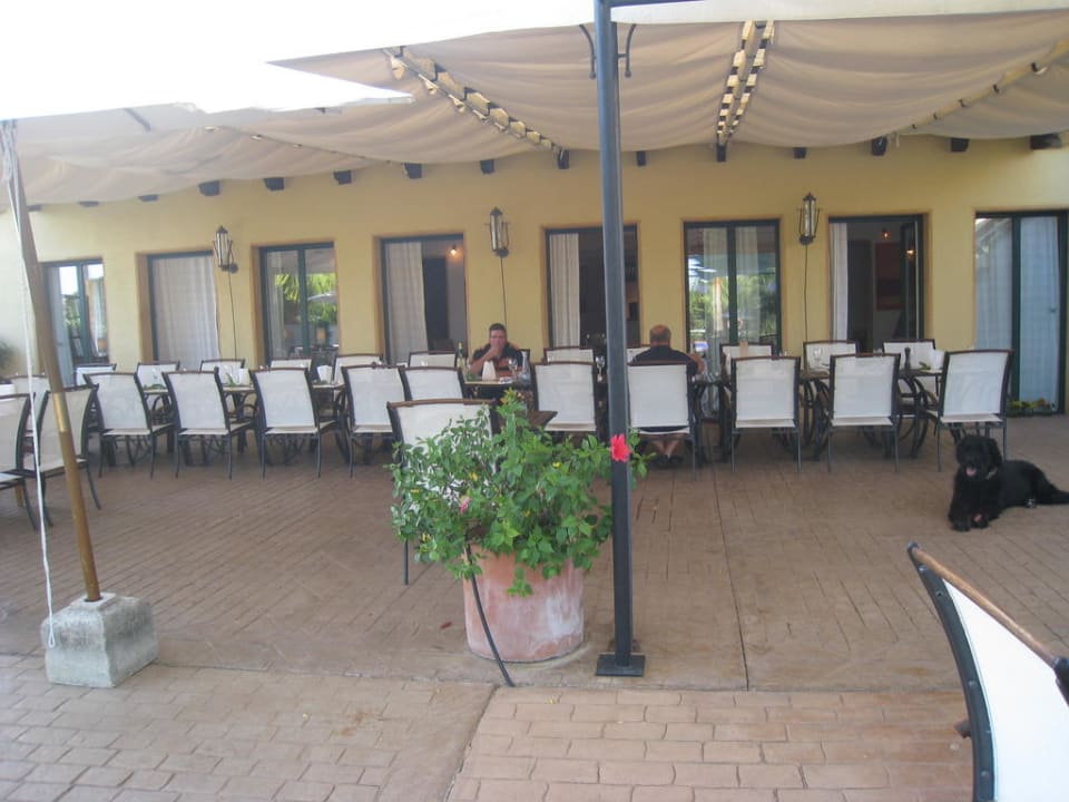 Frühstücksbereich Finca Amapola - Agrotourismus Hotel