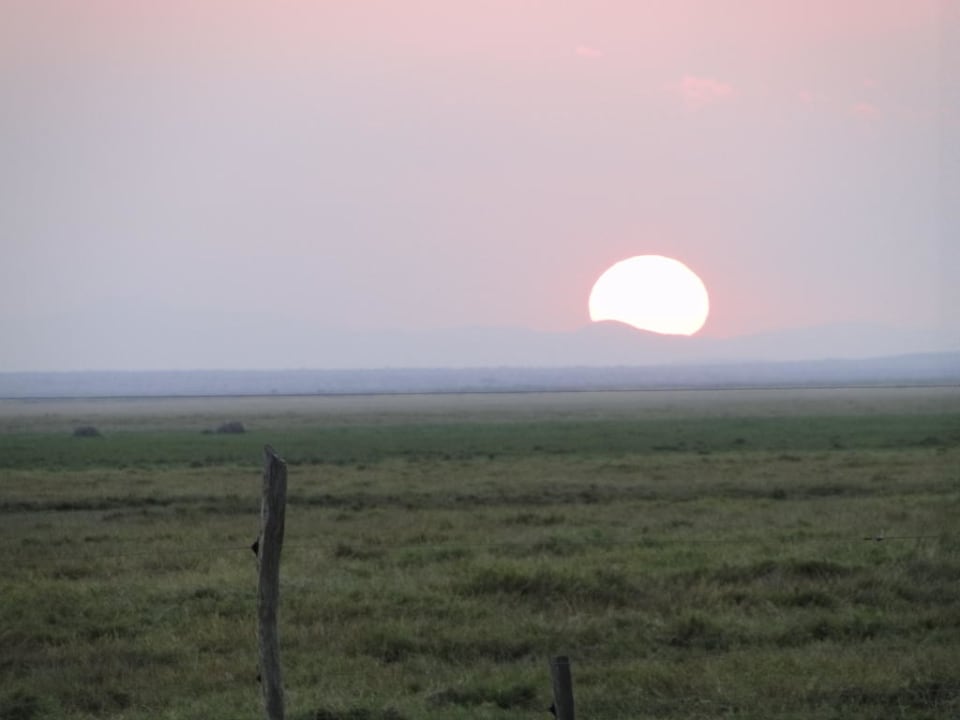 Ausblick vom Zimmer auf die Sümpfe Ol Tukai Lodge