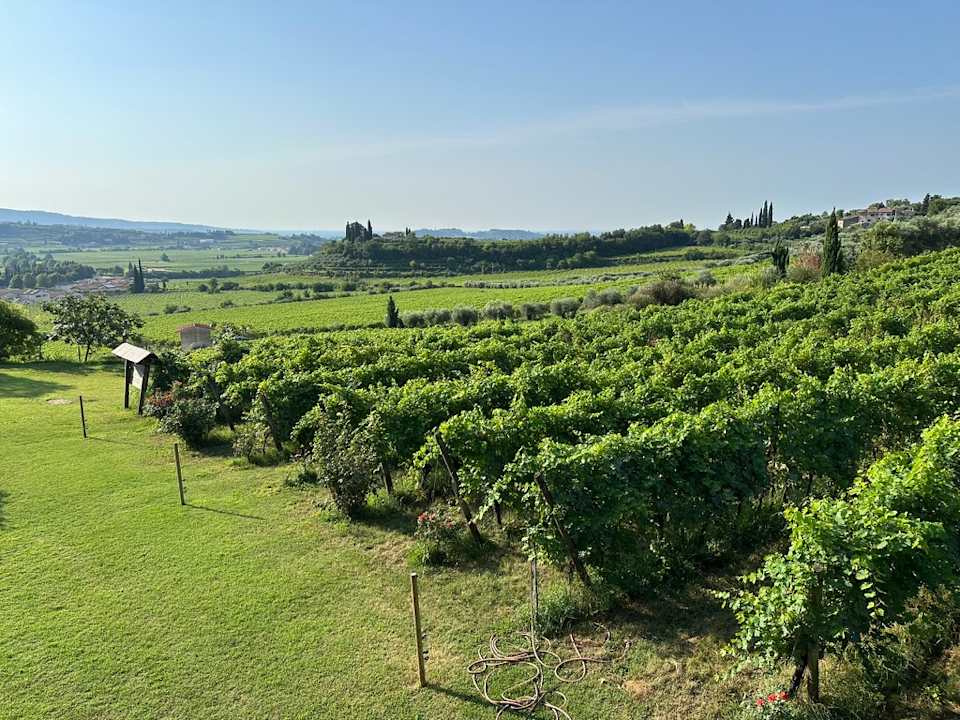 Ausblick Costa degli Ulivi