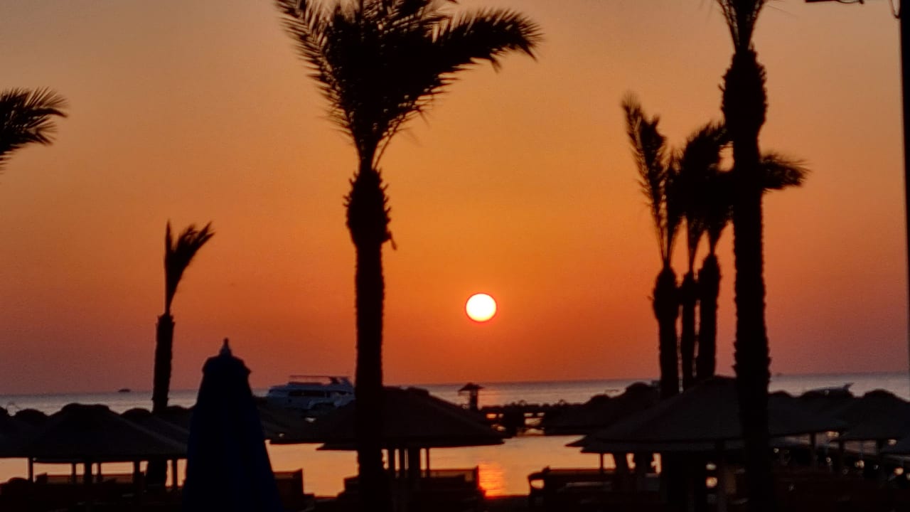 Ausblick Pickalbatros Palace Resort