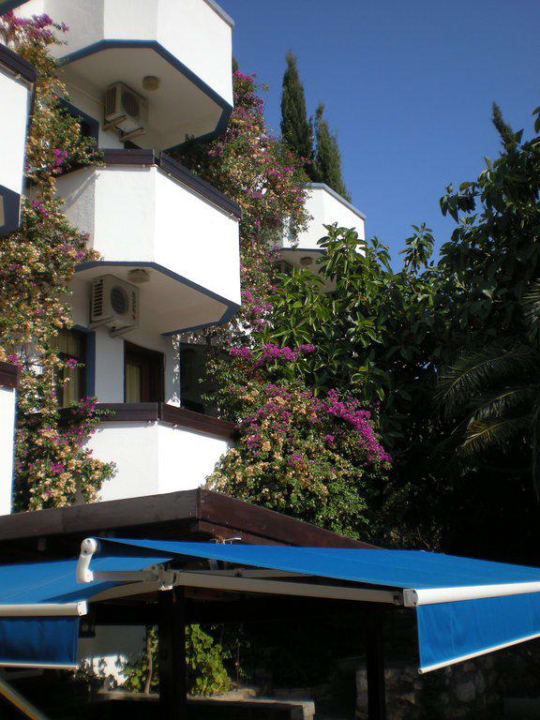 Hotel Hotel Orkinos