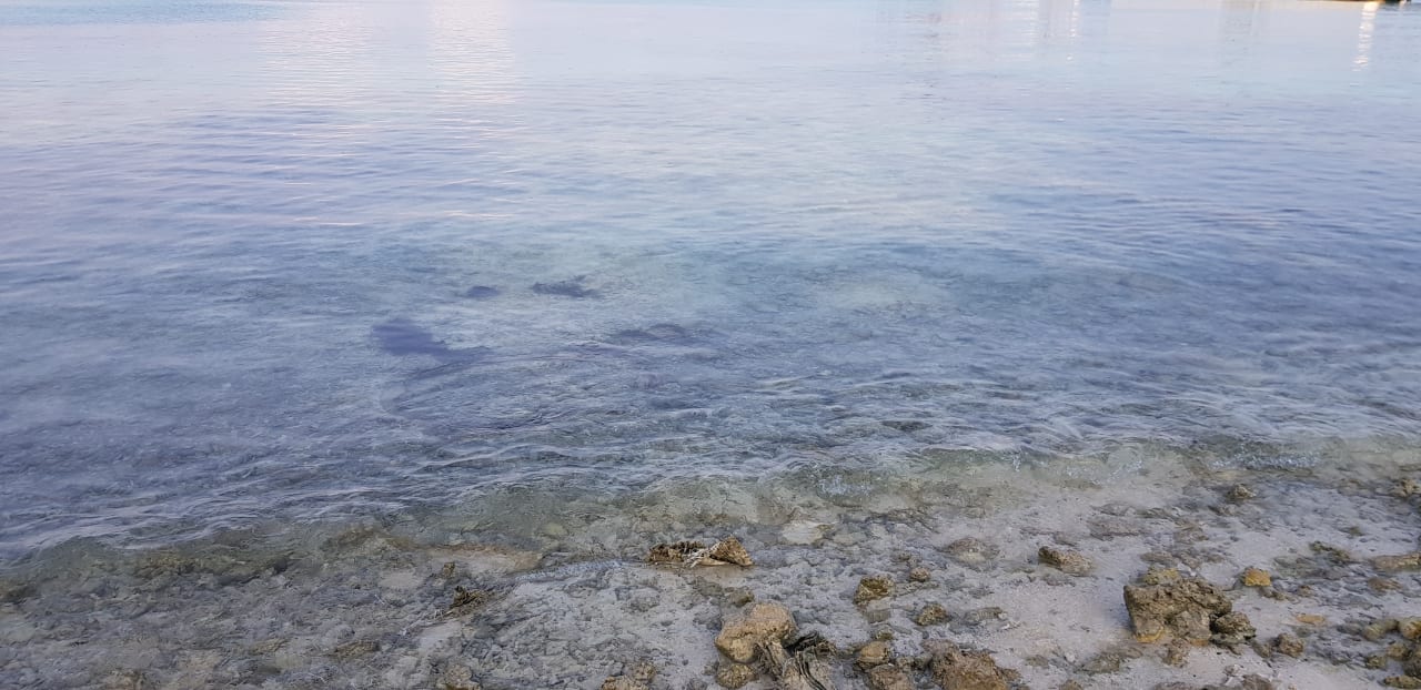 Strand Summer Island Maldives