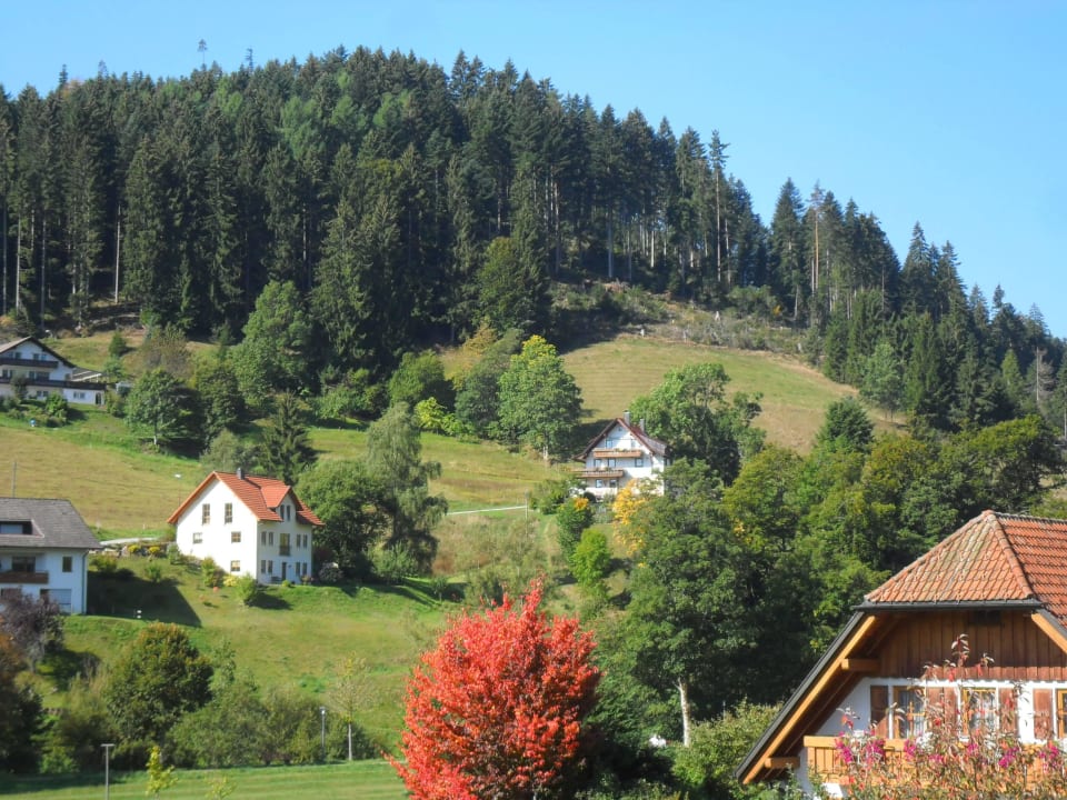 Von unserem Balkon Hotel Lamm - Mitteltal