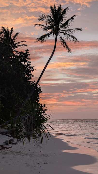 Strand Vilamendhoo Island Resort & Spa