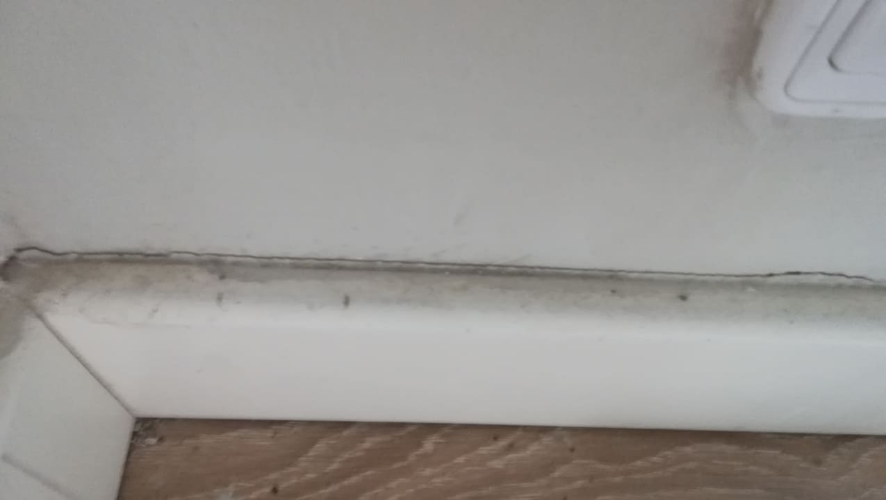 Zimmer Greenwood Kemer Resort