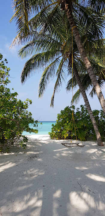 Strand Summer Island Maldives