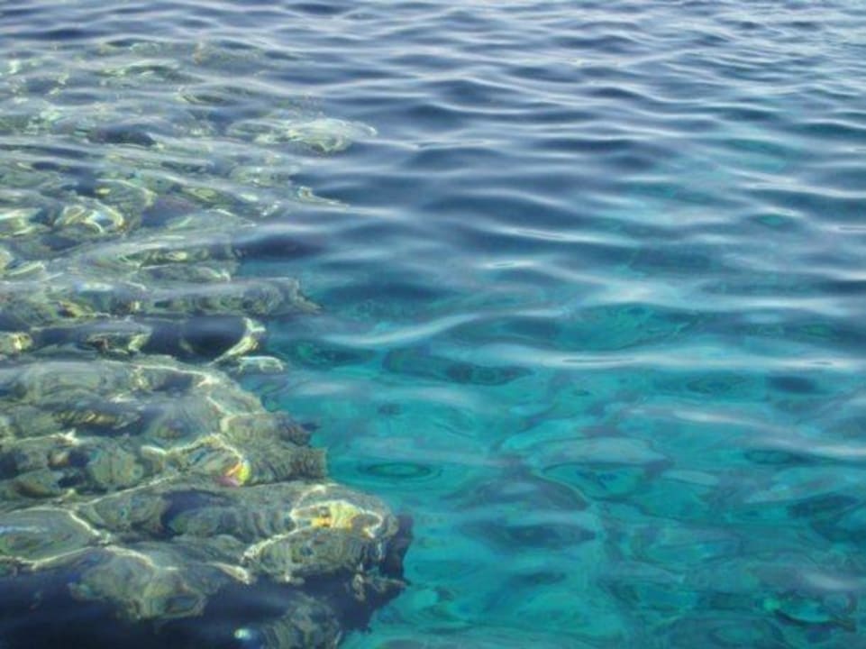 Korallenriff Sharm Resort