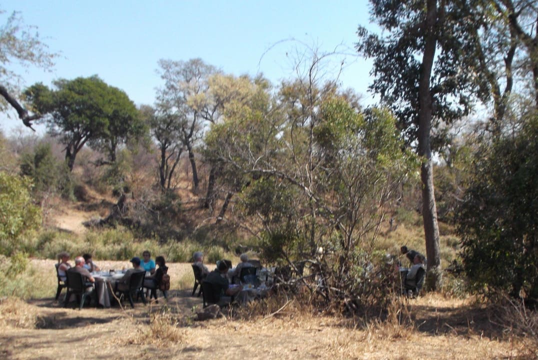 Frühstück im Busch Motswari Private Game Reserve & Geiger's Camp