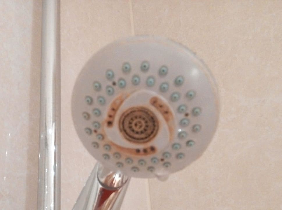 Schimmel am Duschkopf Hotel Antoniushof