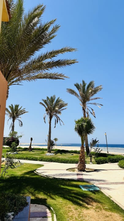 Gartenanlage Malikia Resort Abu Dabbab