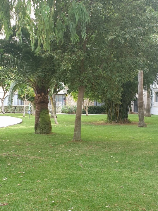Gartenanlage Protur Safari Park Aparthotel