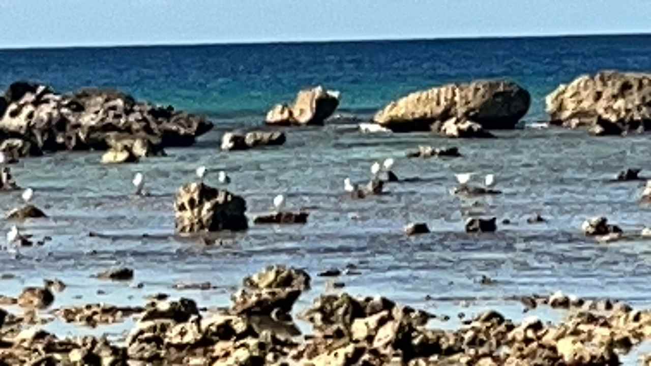 Ausblick Meliá Trinidad Península