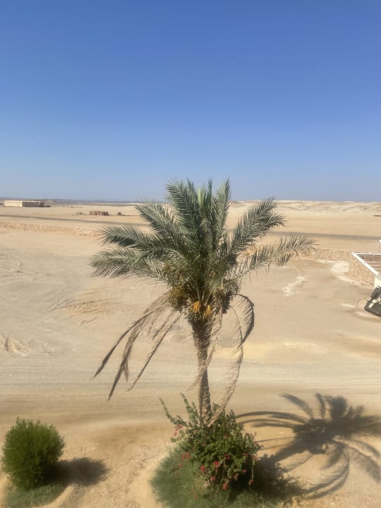 Außenansicht Bliss Nada Beach Resort