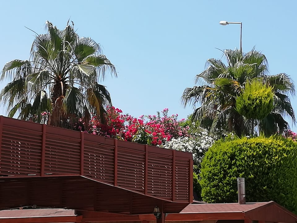 Gartenanlage Hotel Sidekum