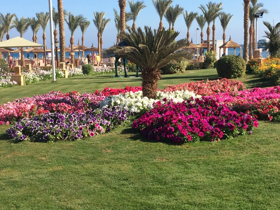 Gartenanlage Pickalbatros Palace Resort