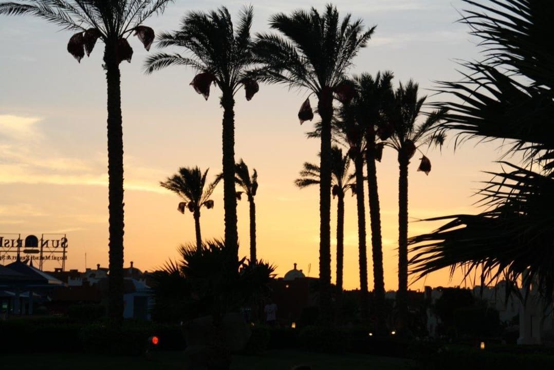 Palmenweg SUNRISE Royal Makadi Resort