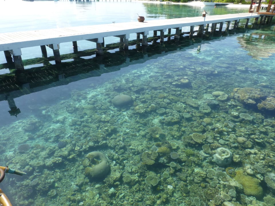 Hotel Eriyadu Eri Maldives