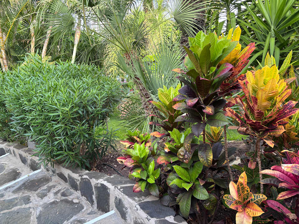 Gartenanlage allsun Hotel Lucana