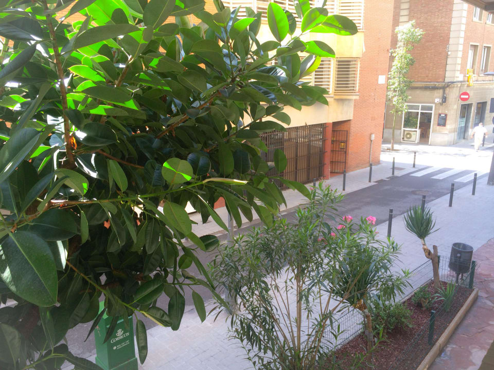 Barcelona City Street Guesthouse Barcelona City Street