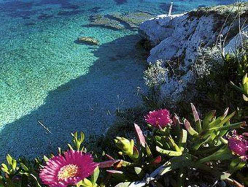 Altro Hotel Villa Padulella