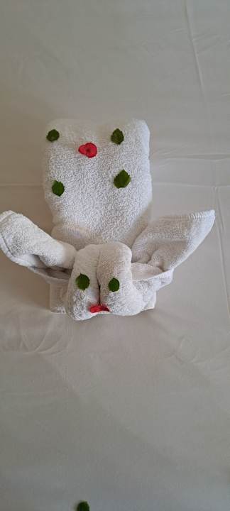 Zimmer Casa Mare Resort