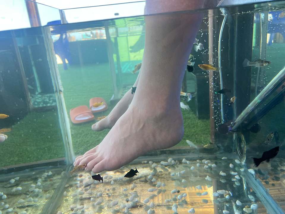 Sonstiges Novotel Marsa Alam Beach Resort