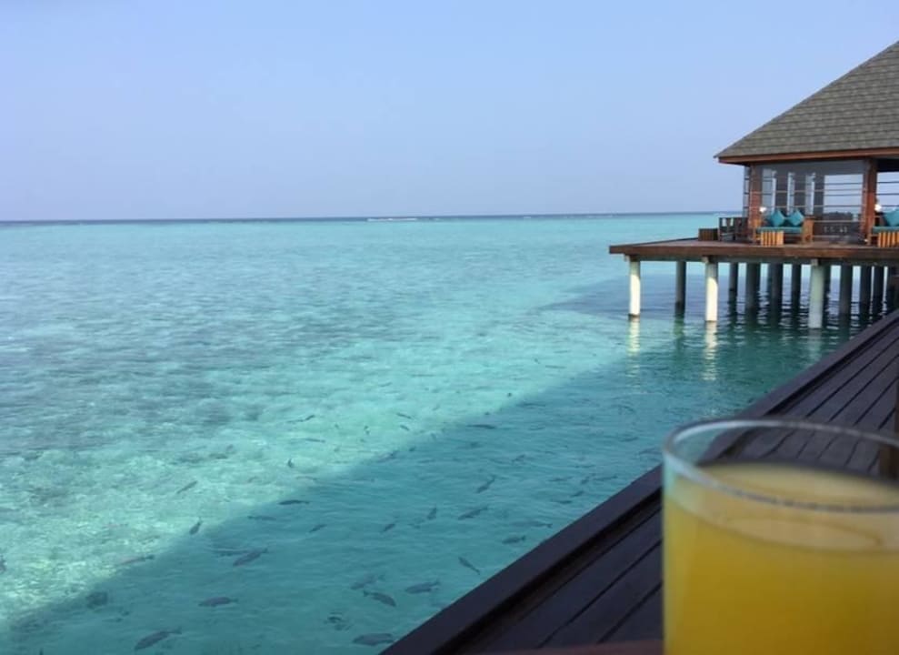 Overwater-Restaurant Summer Island Maldives