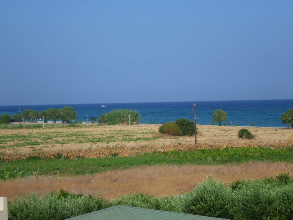 Ca. 50% Obst/Gemüse werden selber angebaut   BIO TUI KIDS CLUB Alex Beach