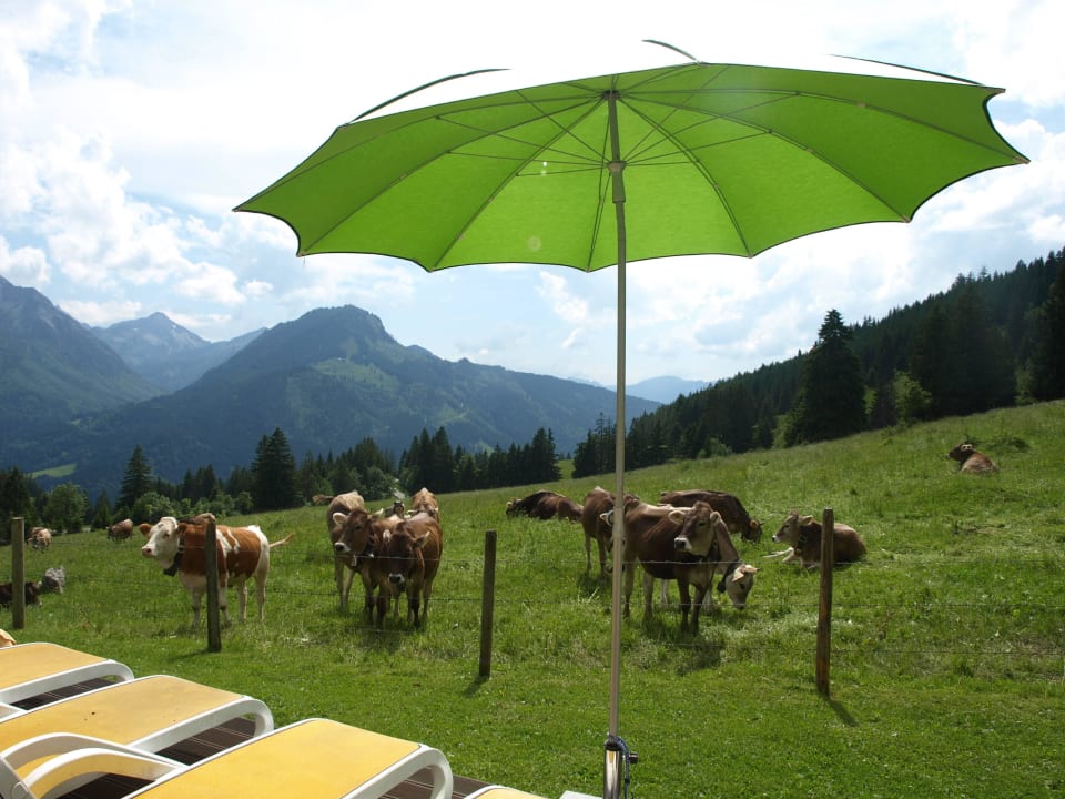 Poolterrasse direkt neben der Kuhweide! Natur Pur! Oberjoch - Familux Resort