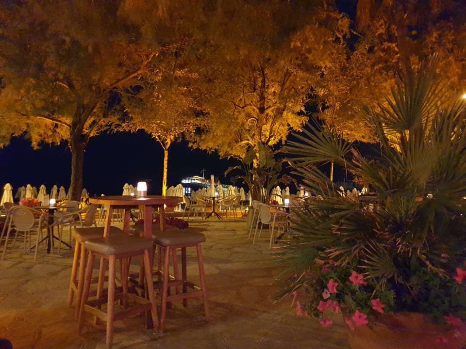Gastro Arum Barut Collection