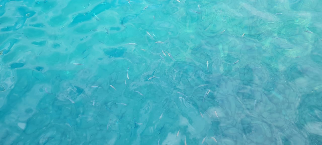 Strand Justiniano Park Conti