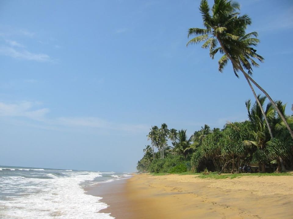 Strandblick in Richtung Norden Mermaid Hotel & Club