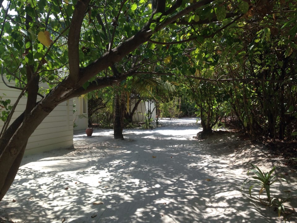 Gepflegte Wege Noku Maldives, Vignette Collection