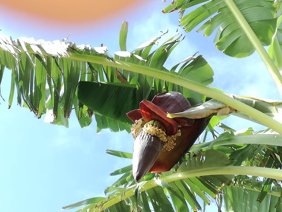 Gartenanlage See to Sea