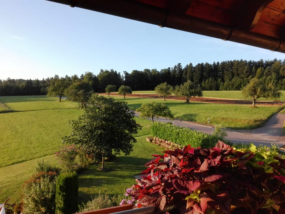 Ausblick Landhotel Talblick