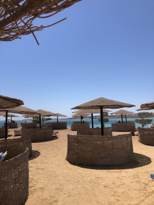 Strand Sea Star Beau Rivage