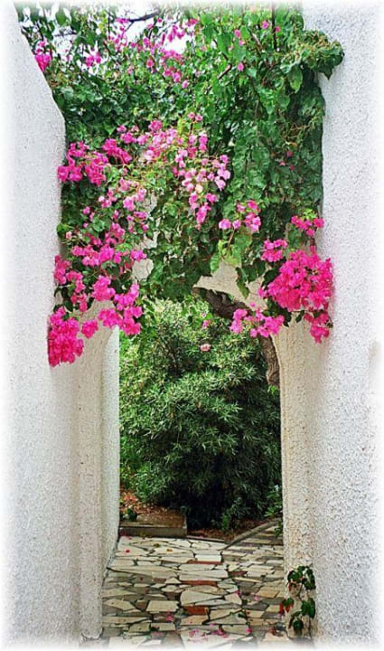 Apollonia Beach Apollonia Beach Resort & Spa