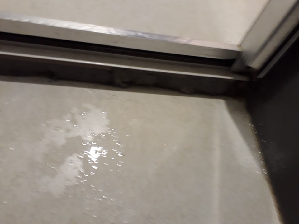 Zimmer AQI Pegasos World