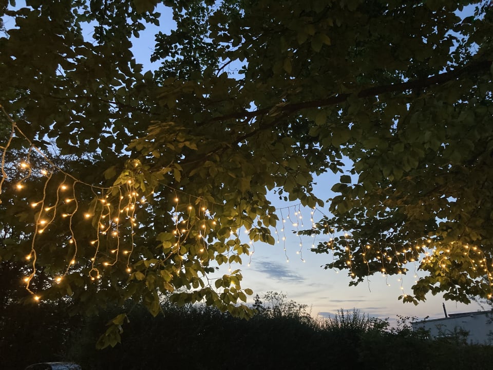 Gartenanlage Raitelberg Resort