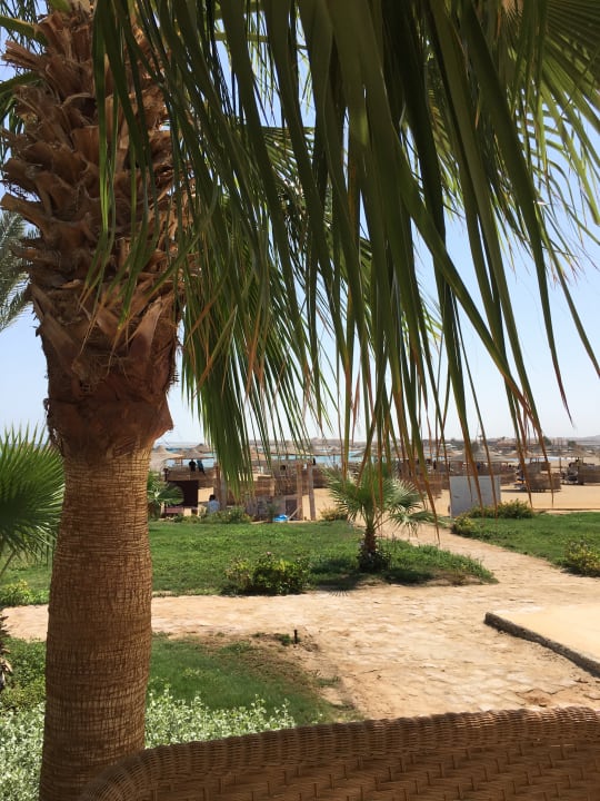 Strand Three Corners Equinox Beach Resort