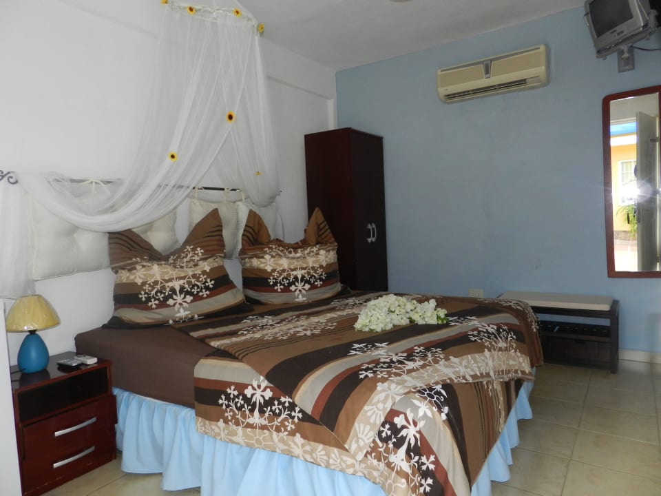 Mi Soles Un Calido Ambiente Floral Posada Mi Soles