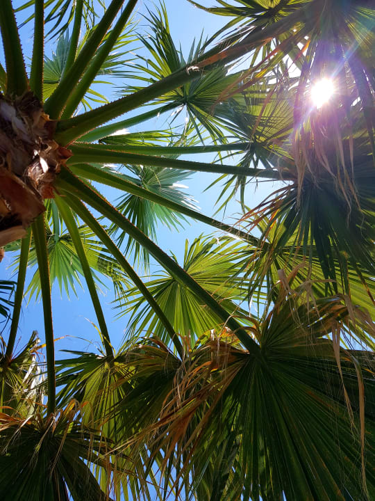 Gartenanlage TUI KIDS CLUB Alex Beach