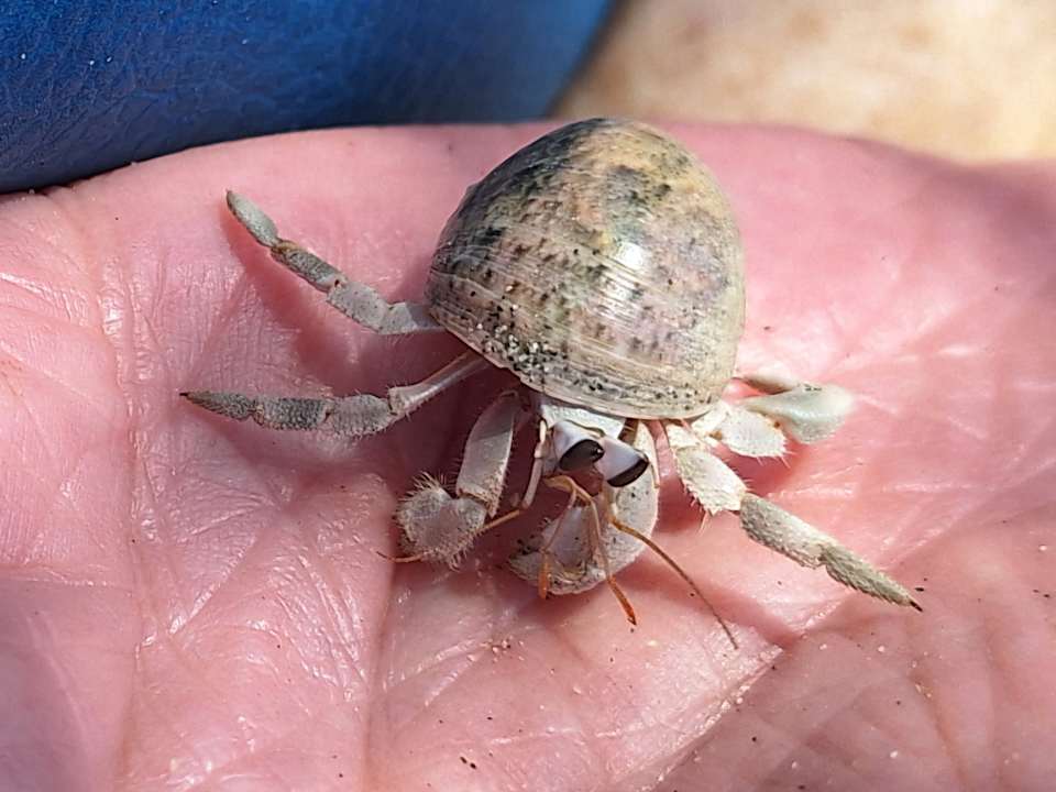 Sonstiges Pickalbatros Villaggio Resort - Portofino