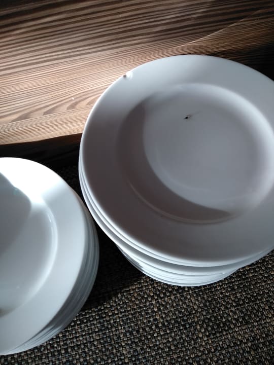 Lobby Hotel Best Siroco